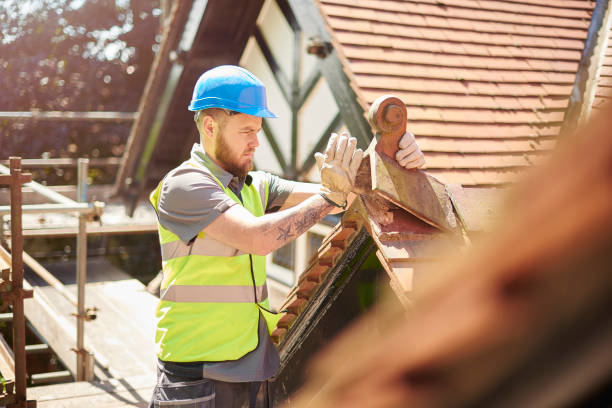Roof Gutter Cleaning in Pinellas Park, FL