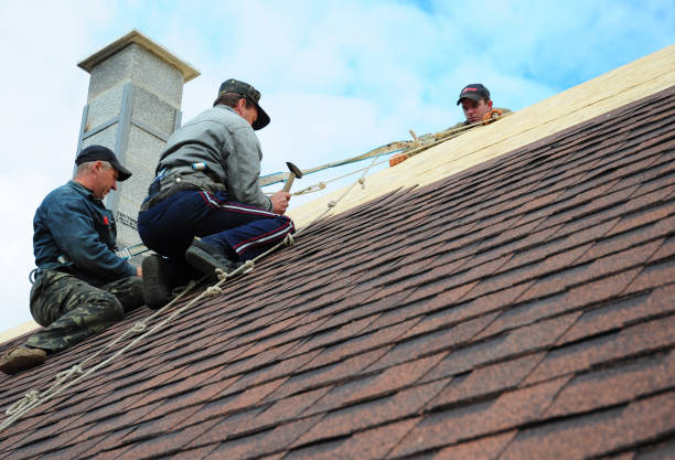 Quick and Trustworthy Emergency Roof Repair Services in Pinellas Park, FL